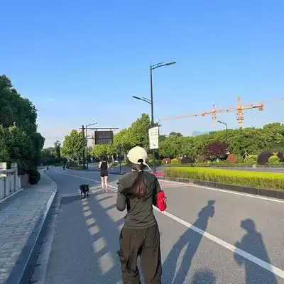 苏成语